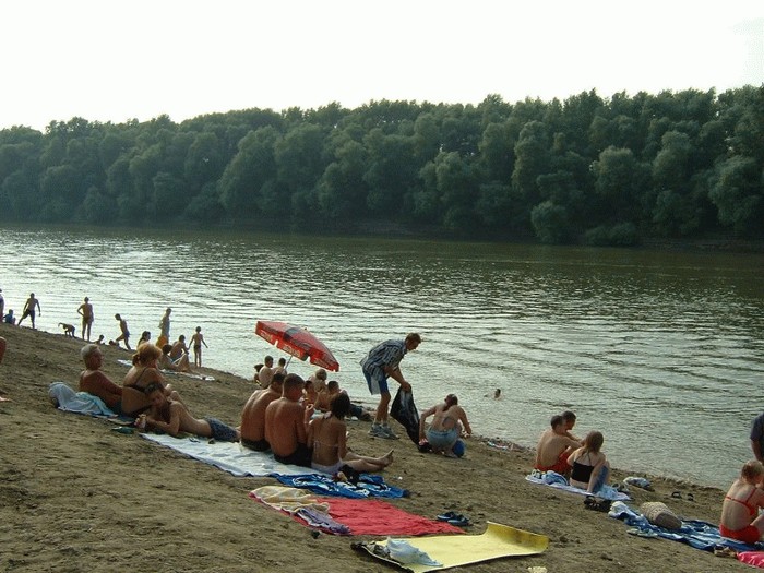 ../fotok/kecske/foto_016.jpg