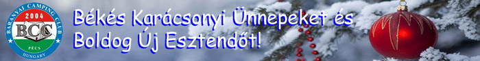 karacsonyibanner